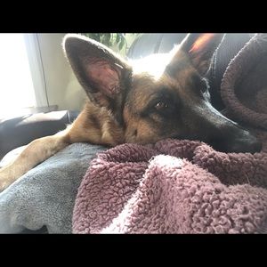 Meet your Posher, Megan